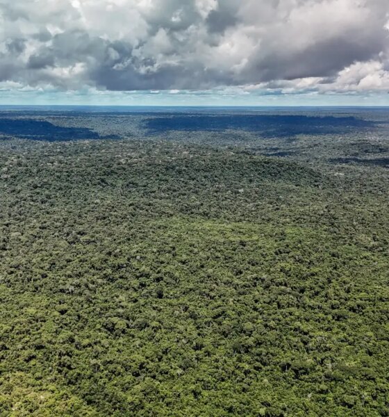 fazenda-autoriza-credito-de-us$-1-bilhao-do-bid-para-eco-invest-brasil