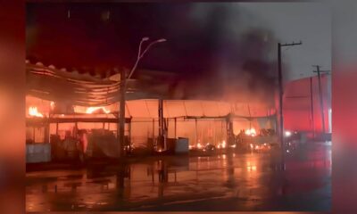 incendio-atinge-pavilhao-de-frutas-no-ceagesp;-nao-ha-vitimas