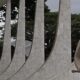 a-confianca-do-cidadao-na-justica-entrou-em-julgamento