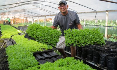 economia-e-desenvolvimento-leis-estaduais-ampliam-apoio-a-agricultura-familiar-em-roraima
