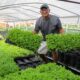 economia-e-desenvolvimento-leis-estaduais-ampliam-apoio-a-agricultura-familiar-em-roraima