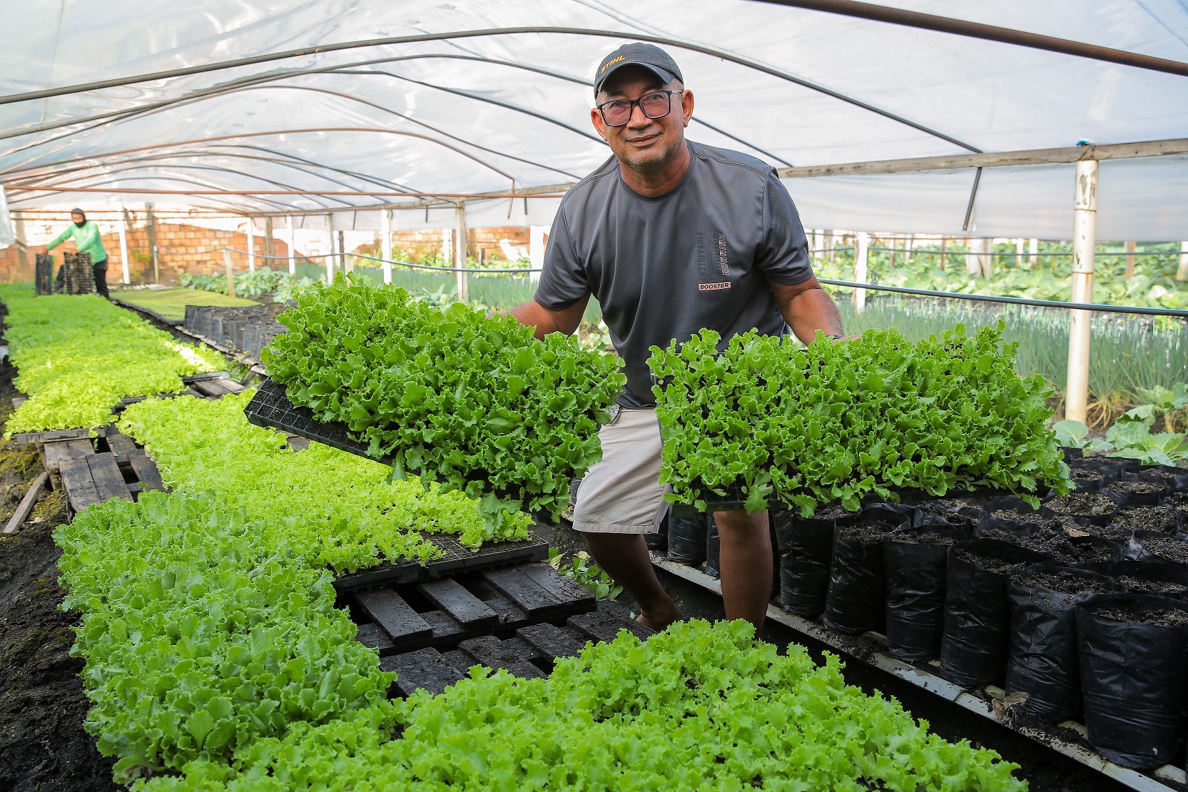 economia-e-desenvolvimento-leis-estaduais-ampliam-apoio-a-agricultura-familiar-em-roraima