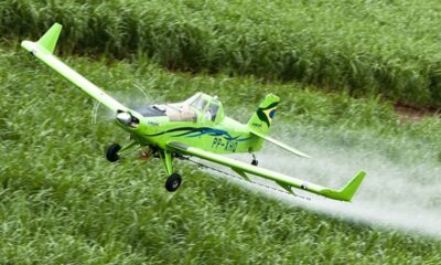 justica-condena-produtores-e-empresa-a-pagar-r$-750-mil-por-pulverizacao-de-agrotoxicos-perto-de-comunidade-indigena-em-boa-vista