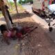 jovem-esfaqueia-patrao-da-companheira-apos-crise-de-ciumes-em-caracarai
