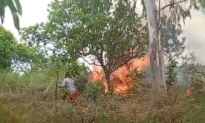 fogo-atinge-area-de-vegetacao-no-bairro-joao-de-barro,-em-boa-vista