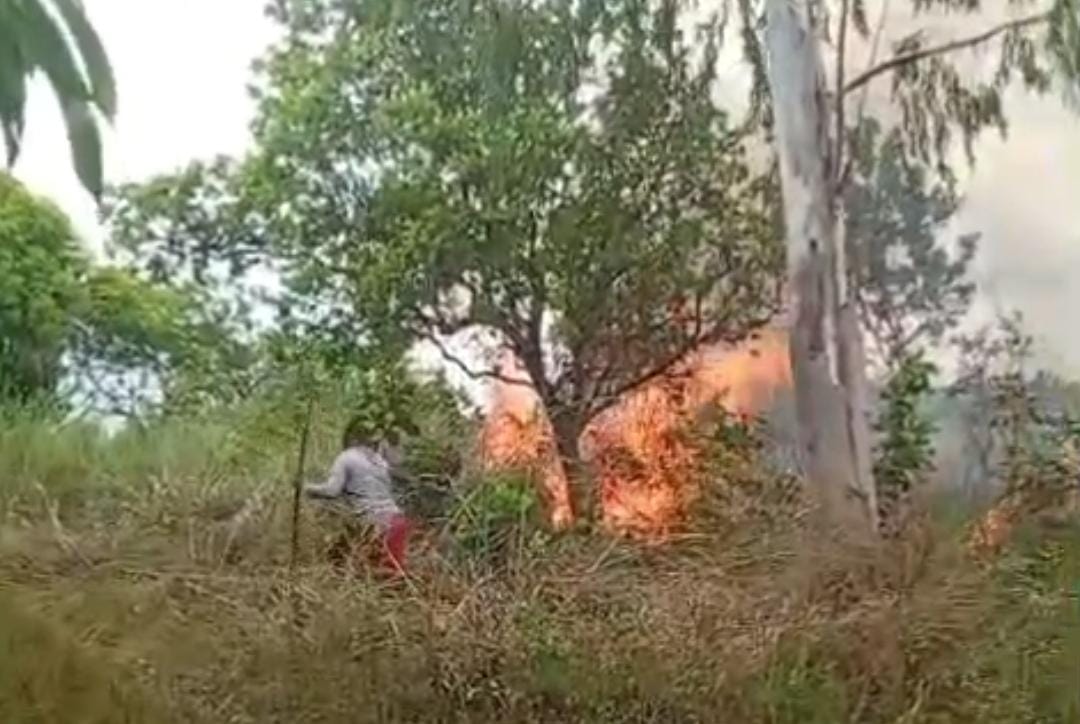 fogo-atinge-area-de-vegetacao-no-bairro-joao-de-barro,-em-boa-vista