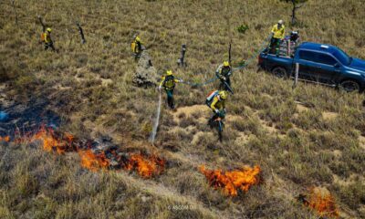 brigadistas-indigenas-iniciam-queima-planejada-para-prevenir-incendios-em-territorio-de-roraima