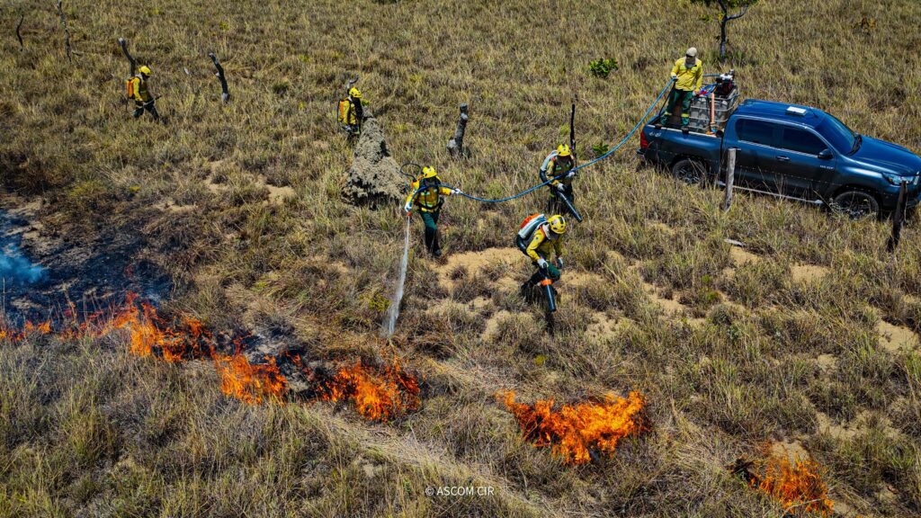 brigadistas-indigenas-iniciam-queima-planejada-para-prevenir-incendios-em-territorio-de-roraima
