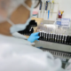 malaria:-anvisa-autoriza-teste-em-humanos-de-vacina-100%-brasileira