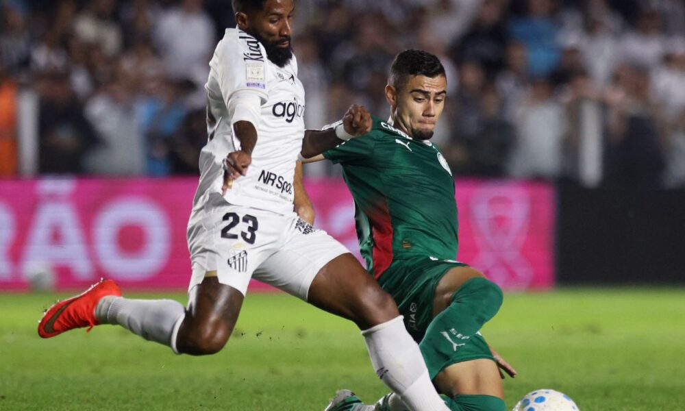 brasileirao:-palmeiras-fica-no-zero-com-o-santos-e-flamengo-agradece